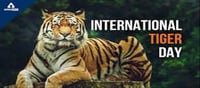 International Tiger Day: Let's Save Tiger's!!!
